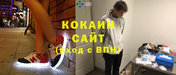 шишки Арсеньев