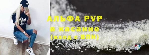 шишки Арсеньев