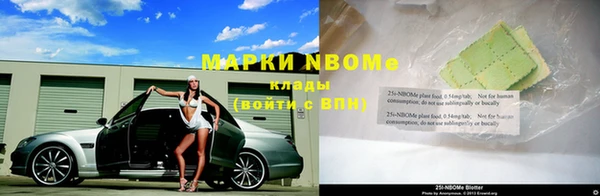шишки Арсеньев