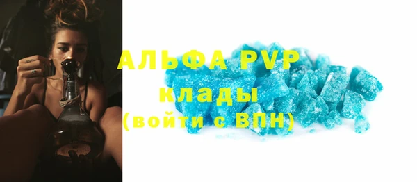 шишки Арсеньев