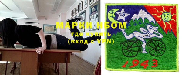 шишки Арсеньев