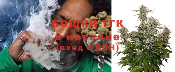 шишки Арсеньев