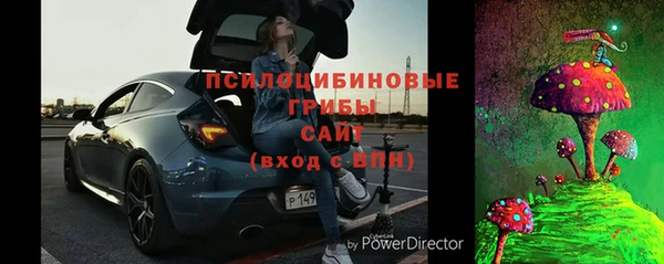 шишки Арсеньев
