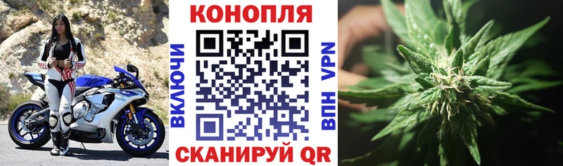 Бошки Шишки семена  где продают   Харовск 